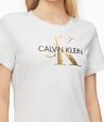 Calvin Klein Metallic Monogram Logo T-Shirt Dress - Women For Discount