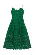 Green Azaelea Midi Dress Hot on Sale