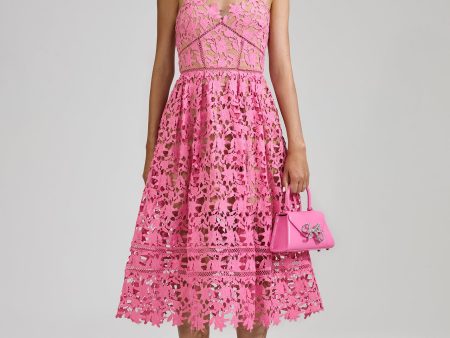 Pink Azaelea Lace Midi Dress on Sale